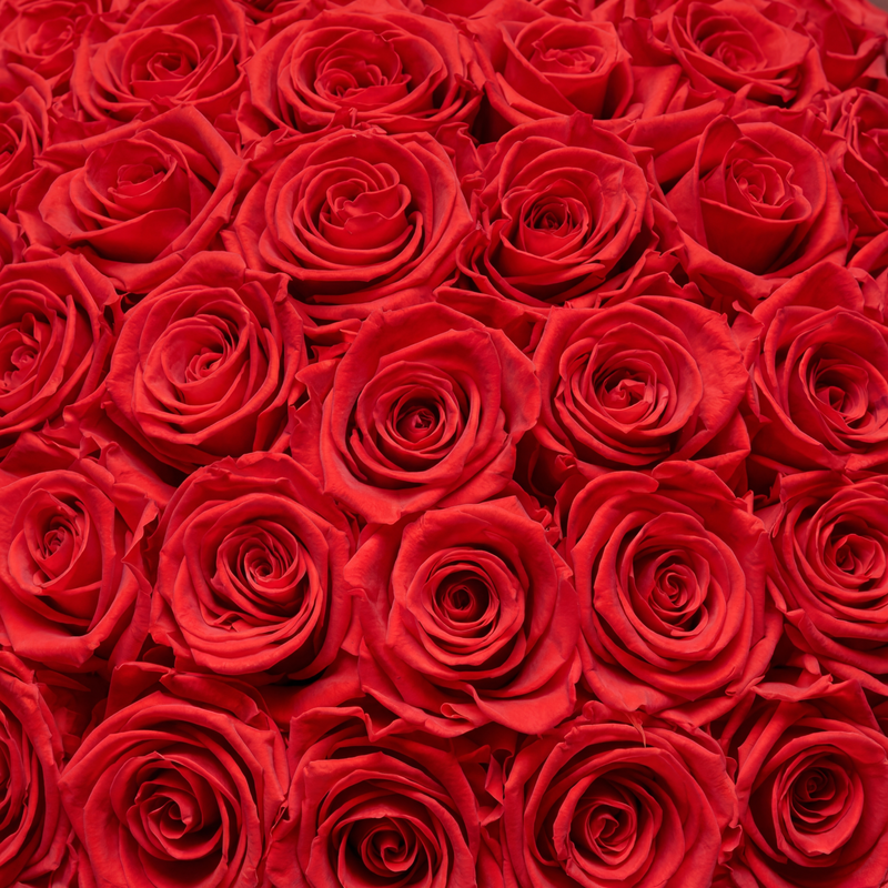 Rosenboxen
