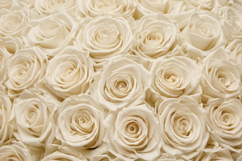 Rosenbouquets